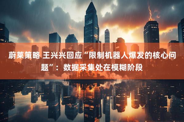 蔚莱策略 王兴兴回应“限制机器人爆发的核心问题”：数据采集处在模糊阶段
