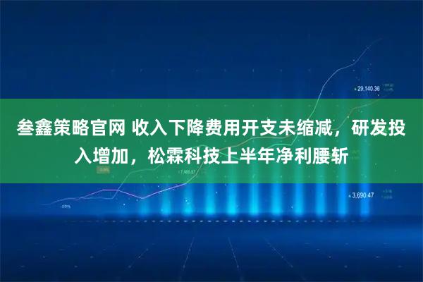 叁鑫策略官网 收入下降费用开支未缩减，研发投入增加，松霖科技上半年净利腰斩