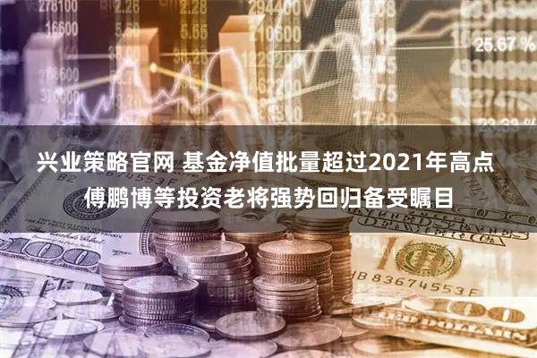 兴业策略官网 基金净值批量超过2021年高点 傅鹏博等投资老将强势回归备受瞩目